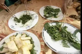 吃瓜娱乐馆,吃瓜娱乐馆带你畅游八卦海洋