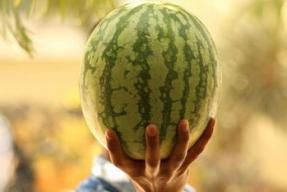 娱乐圈可以吃大瓜吗,揭秘明星幕后故事