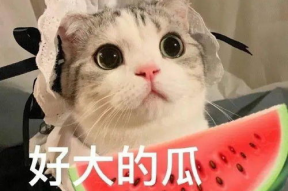 娱乐吃瓜喵栗子,揭秘娱乐圈那些不为人知的幕后故事