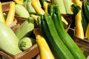 娱乐吃瓜推荐,明星们的幕后故事与吃瓜指南