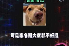 吃瓜八卦娱乐群,吃瓜八卦群背后的秘密与真相