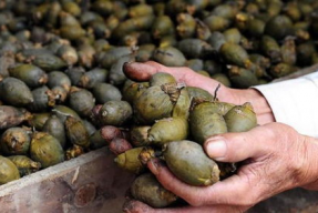 娱乐吃瓜酱找出5个错误,揭秘真相背后的乌龙风波