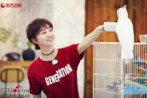 娱乐圈吃瓜王源,从童星到争议，娱乐圈的蜕变与挑战”