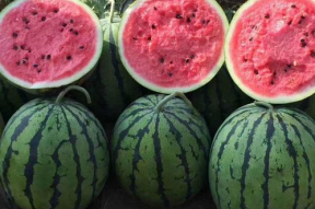 718娱乐吃瓜爆料不打烊,吃瓜不打烊，娱乐圈幕后故事大揭秘