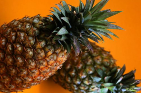 菠萝头娱乐吃瓜,揭秘娱乐圈幕后热点与八卦风云