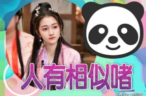 娱乐吃瓜爆料小说推荐,揭秘明星背后的秘密与八卦